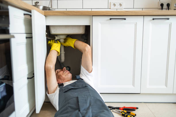 Best Clogged Drain Plumber  in Shorewood, WI